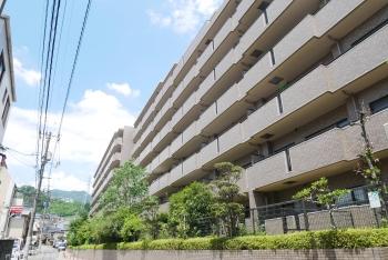 総戸数99戸、鉄筋コンクリート造地上7階建のマンションです