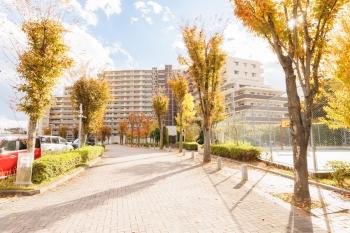 外観　地上14階建て　総戸数215戸