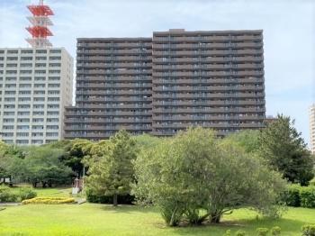 ２０階建て総戸数２４６戸　タイル張りの建物外観