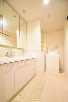 ゆとりある広さの洗面脱衣所。買い置きやタオルを置ける収納もあります。