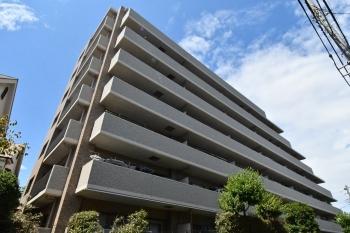 南側から　色違いのタイルを貼り分けたスタイリッシュな外観