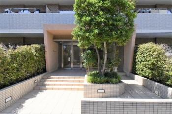 シンボルツリーを備えたエントランス