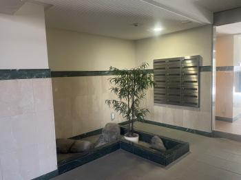 エントランスには植物がございます。