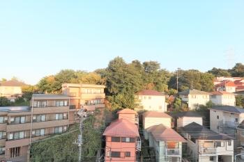 南東側バルコニーからの眺め（眺望は永続的に保証されるものではありません）