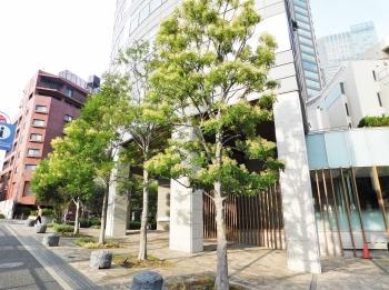 エントランスアプローチ