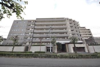 外観　地下1階地上11階建