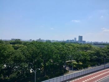 東側バルコニーからの眺望　眺望は未来永劫保証されるものではございません