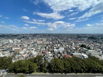 東側バルコニーから氷川参道方面を望む