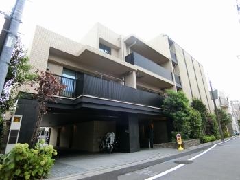 ２０１７年７月築。総戸数４１戸、５階建ての中規模マンションです。