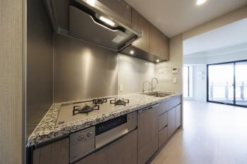 システムキッチン（三口コンロ、ディスポーザー、食洗機、浄水器）