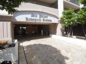 緑の木々が居住者を優しく出迎えるエントランスアプローチ