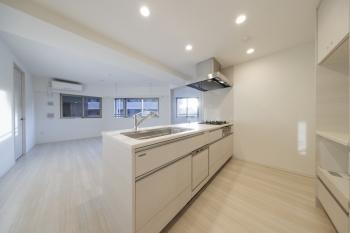 食器洗浄乾燥機・浄水機能付シャワー混合水栓付き