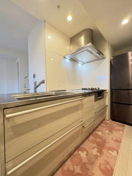 キッチンにはディスポーザー、食洗機、浄水器付き