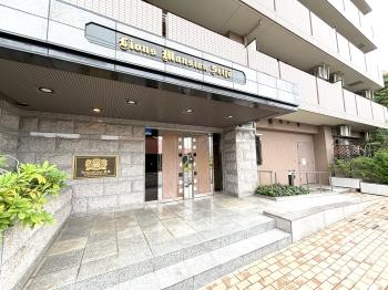 現地アプローチ