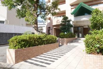 緑に囲まれたエントランスは歩車分離の動線となっています