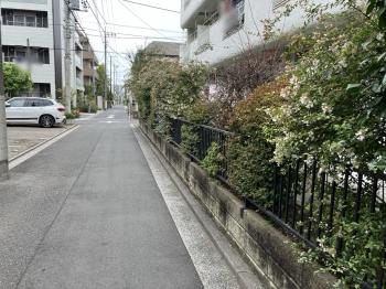 前面道路