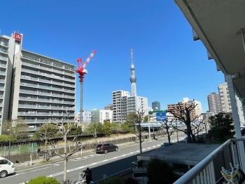 バルコニーからの眺望