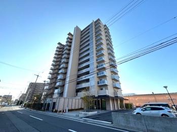 敷地北側の接道上から撮影