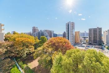 眼下に仙台堀川公園を望むロケーション