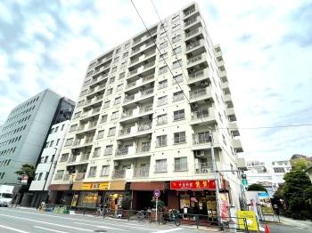 小石川ハイム　総戸数91戸