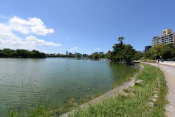 大濠公園（250ｍ）