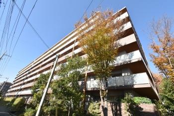 四季の彩りを感じながら暮らせるレジデンス