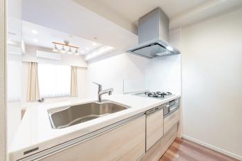 食器洗乾燥機付き　日々の家事をバックアップしてくれます