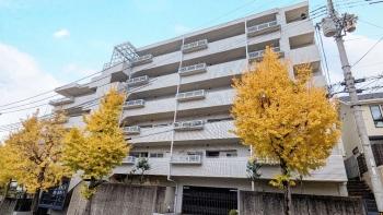 マンション北側から撮影