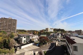 東側バルコニーからの北東側眺望。大池公園方面を望めます。