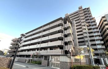 現地北側から撮影