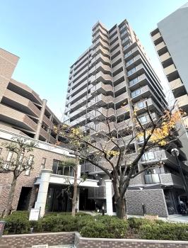 現地東側から撮影