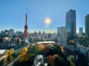 南西向きバルコニーからの眺望（眺望は永続的に保証されるものではございません。）