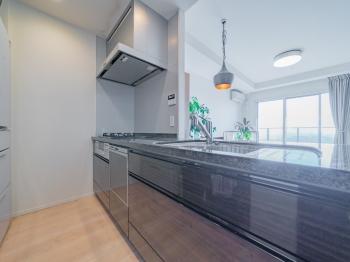 天然石カウンタートップ、食洗器、浄水器、ディスポーザー付