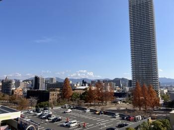 南東向きバルコニーからの眺望（眺望は永続的に保証されるものではありません）