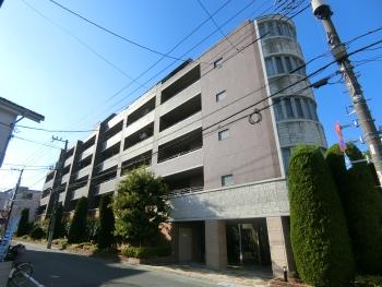 南向きのため陽当たりが良好です