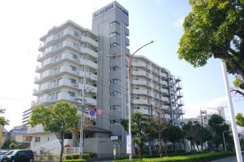 北西方向からの遠景です