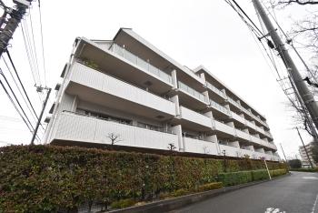 住居系エリアに立ち静かな住環境