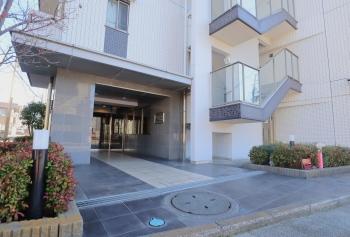 緑の植栽に彩られ、柔らかな自然光を招くアプローチ