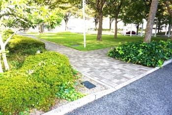 ゆっくりと歩きたくなる並木プロムナード