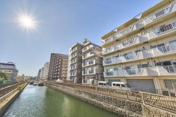 柔らかな日差しと川のコントラスト