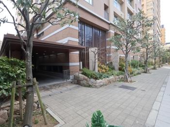 敷地内北側の公開空地です