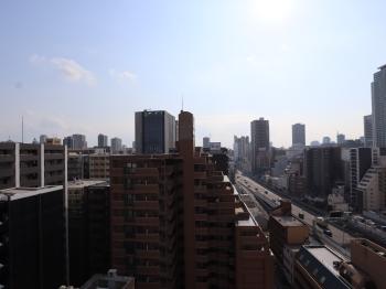 南側バルコニーからの眺望。眺望については永続的に保証されるものではありません。