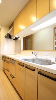 キッチンには食器洗乾燥機、ディスポーザーが設置されています