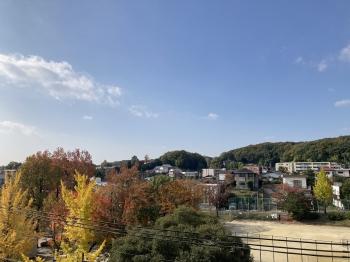 バルコニーからの眺望（眺望は永続的に保証されるものではございません。）