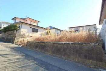 北西側から撮影