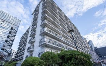 総戸数239戸、11階建ての大規模マンションです。