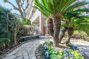 様々な植栽がエントランスを彩っています。