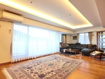 約28.1帖のリビング