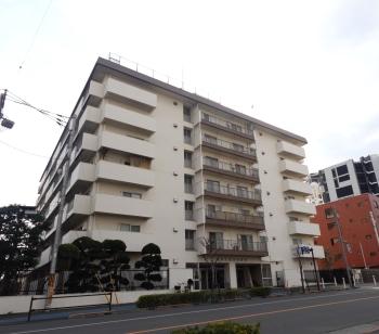 総戸数96戸の現地外観