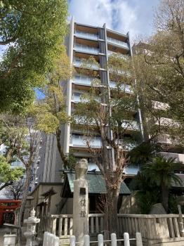 １０階建て、４階部分、南・東の角住戸です。